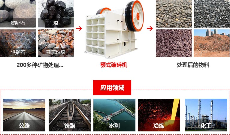 德版荔枝污视频在线观看应用领域
