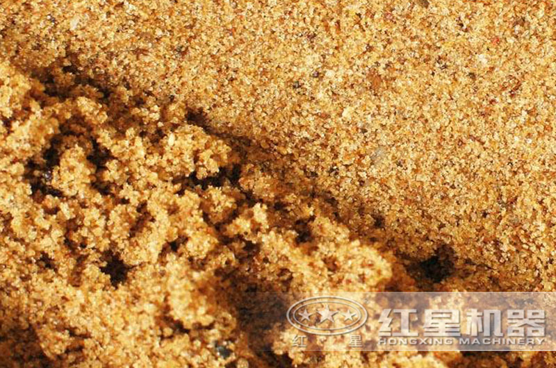 荔枝视频色版在线观看制成的沙子