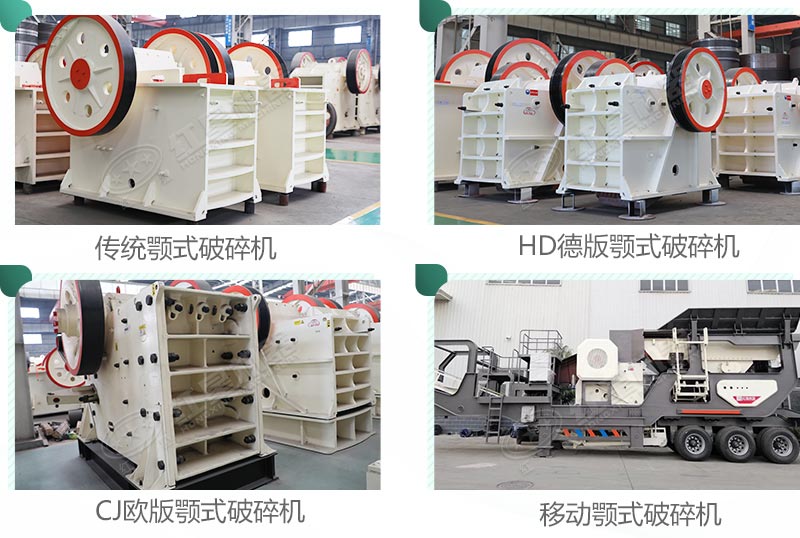 不同型号的荔枝污视频在线观看